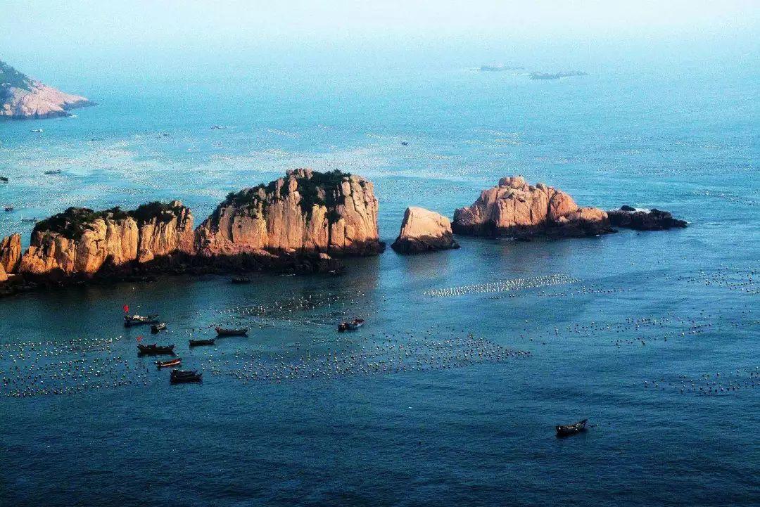 独家视频丨习近平:中法关系始终走在中国同西方国家关系前列
